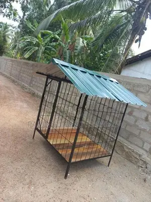 Dog Cage