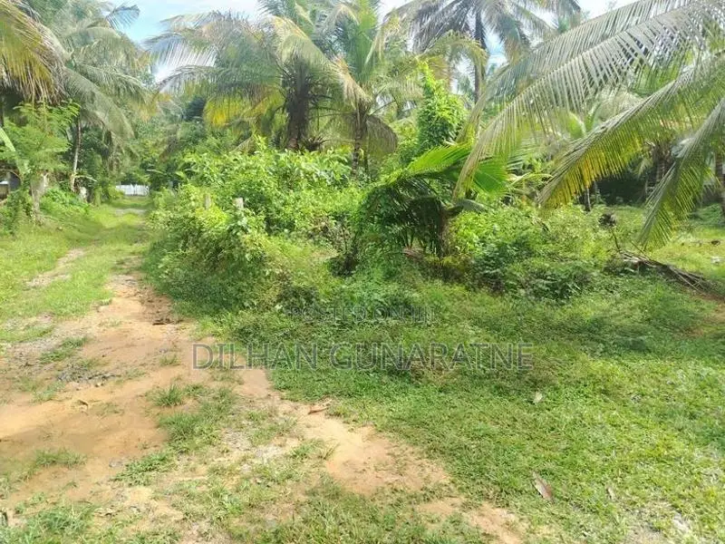 Land for Sale Walasmulla