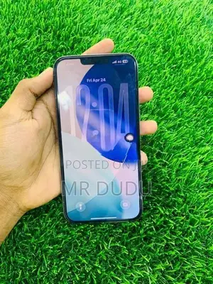 Apple iPhone 13 Pro Max (Used)