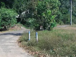 නේවාසික බිම් කොටස්‌ කලපුගම