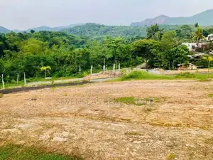 Valuable Land For Sale in Avissawella