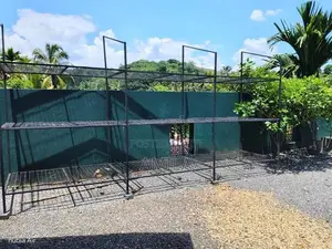 Garden Plant Rack