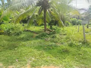 Land for Sale Walasmulla