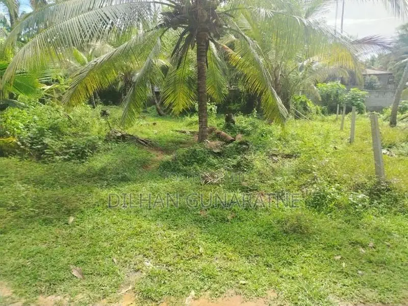 Land for Sale Walasmulla