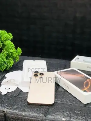 Apple iPhone 16 Pro Max 256GB (Used)