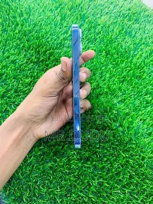 Apple iPhone 13 Pro Max (Used)