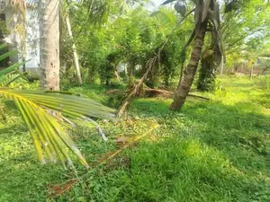 Land for Sale Walasmulla
