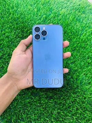 Apple iPhone 13 Pro Max (Used)