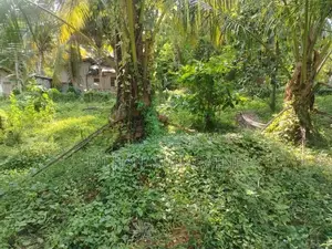 Land for Sale Walasmulla