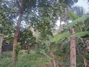 Land For Sale in Katana