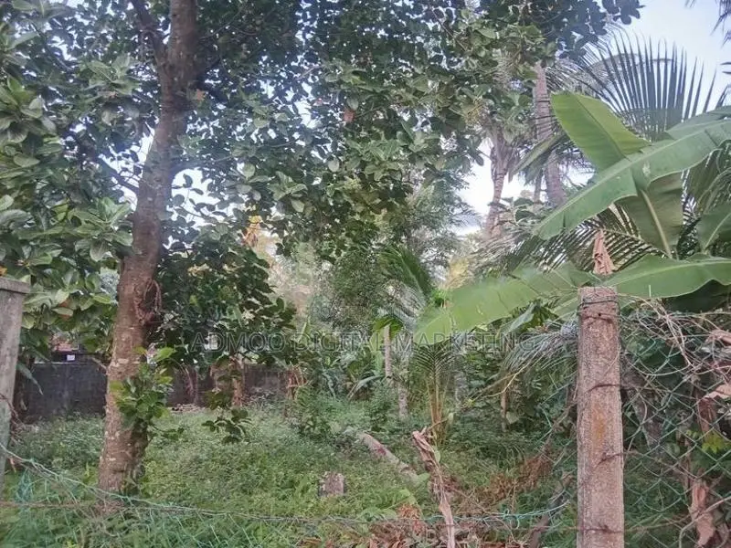 Land For Sale in Katana