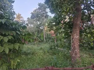 Land For Sale in Katana