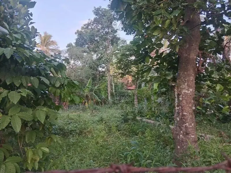 Land For Sale in Katana