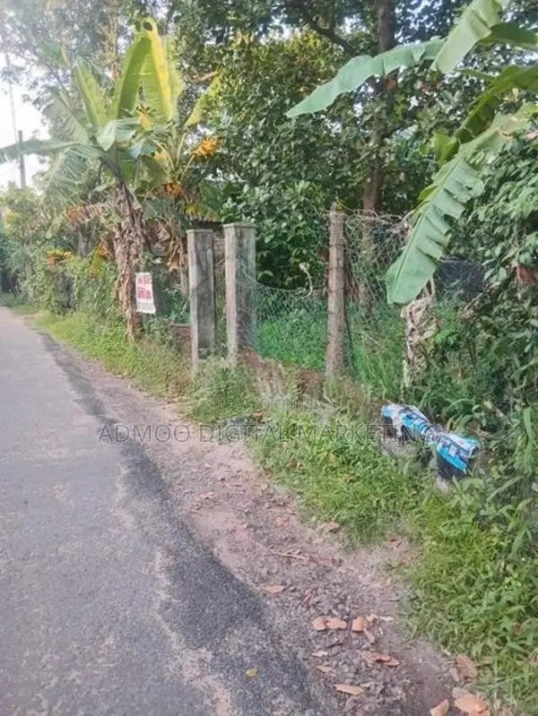 Land For Sale in Katana