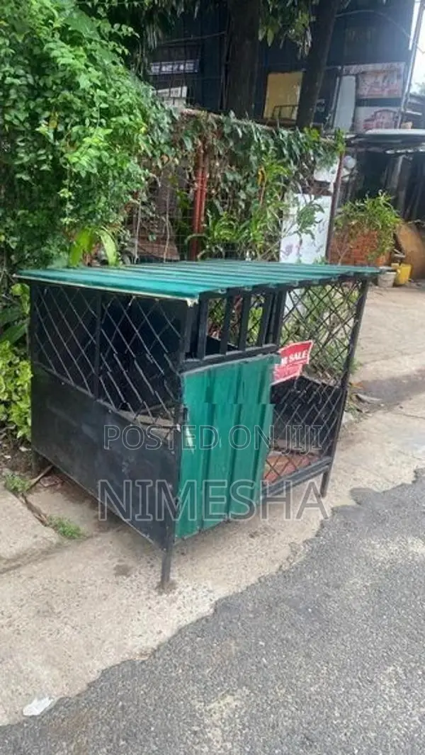 Dog House