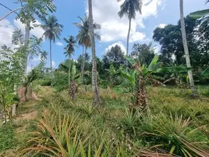Land For Sale In Giriulla