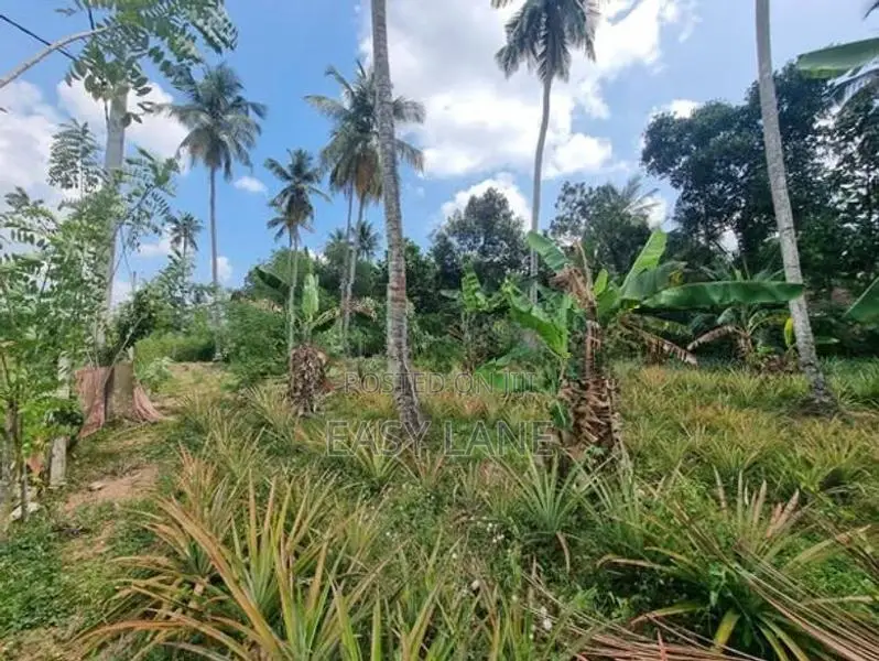 Land For Sale In Giriulla