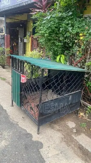 Dog House