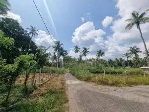 Land For Sale In Giriulla