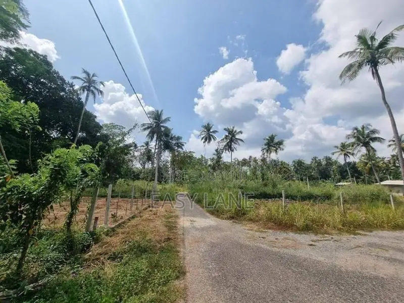 Land For Sale In Giriulla