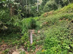 Land For Sale In Algama
