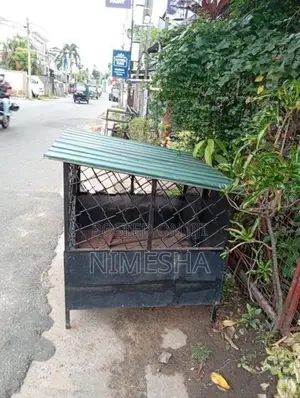 Dog House