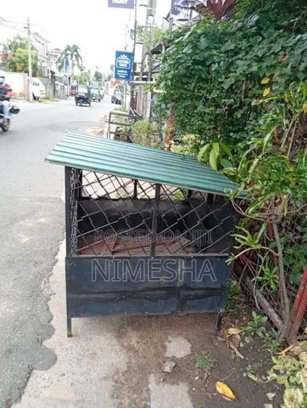 Dog House