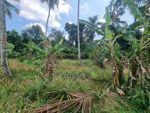 Land For Sale In Giriulla