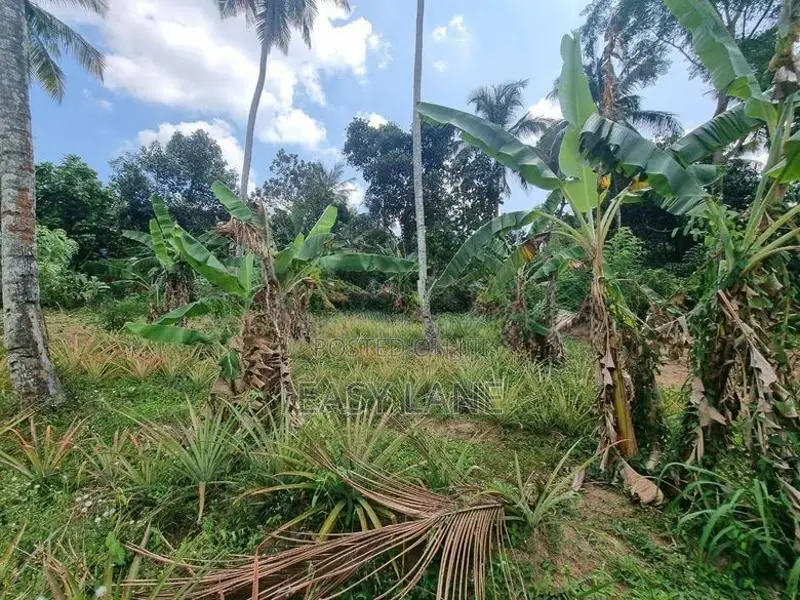 Land For Sale In Giriulla