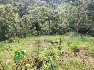 Land For Sale In Algama