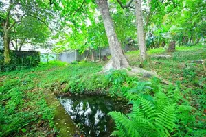 Residential Land for sale in Panadura