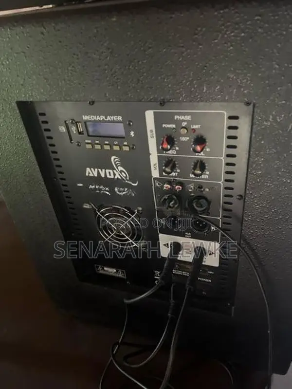 Array Powerd Speakers System