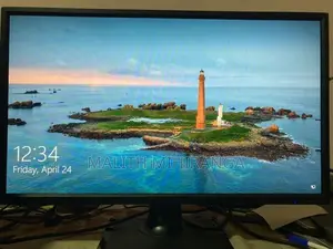 24” I-O DATA IPS LCD Monitor (Full HD)