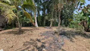 Land For Sale In Yakkala