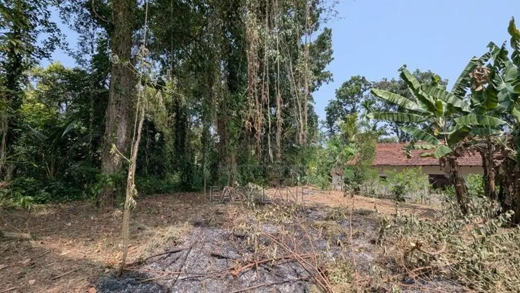 Land For Sale In Yakkala