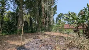 Land For Sale In Yakkala
