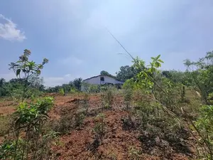 Land For Sale In Horana