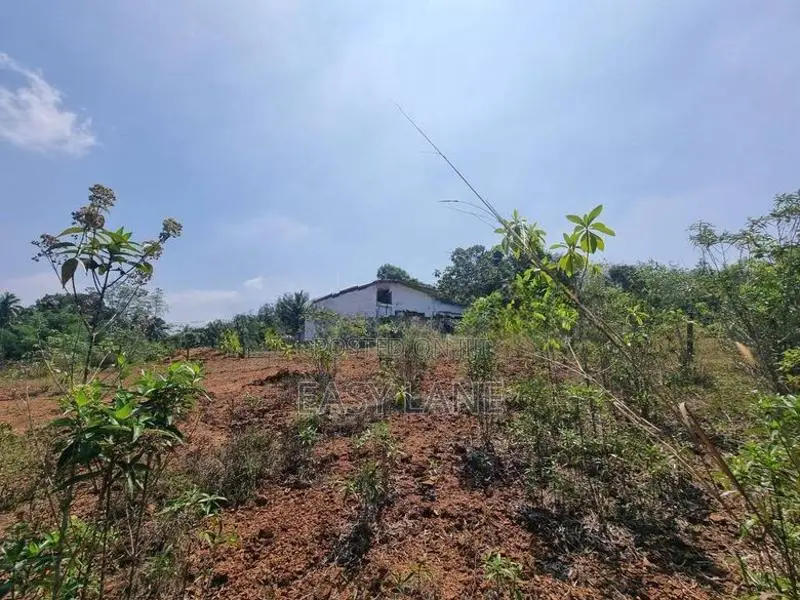 Land For Sale In Horana