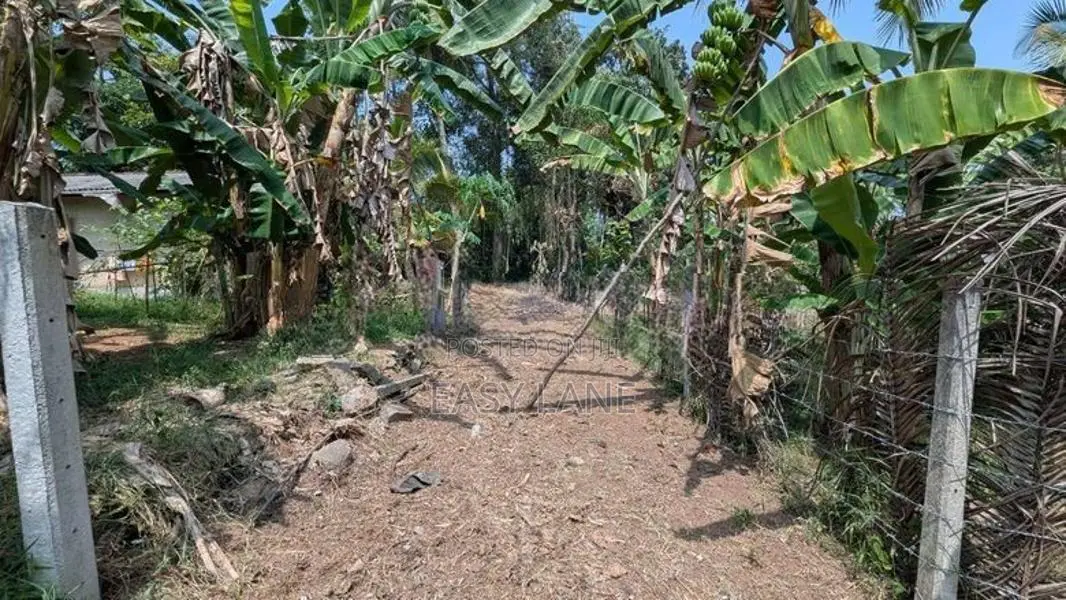 Land For Sale In Yakkala