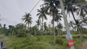 Kurunegala Land for Sale