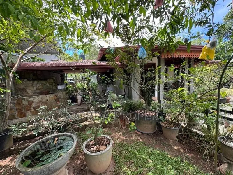 15 Perches Single Storey House for Sale in Piliyandala