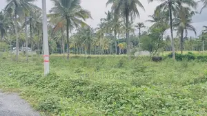 Kurunegala Land for Sale