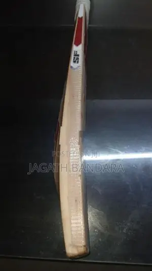 SF Cricket Leather Bat