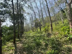Vannaluwawa Land for Sale