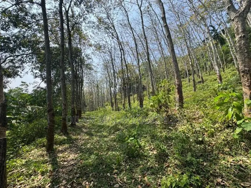 Vannaluwawa Land for Sale