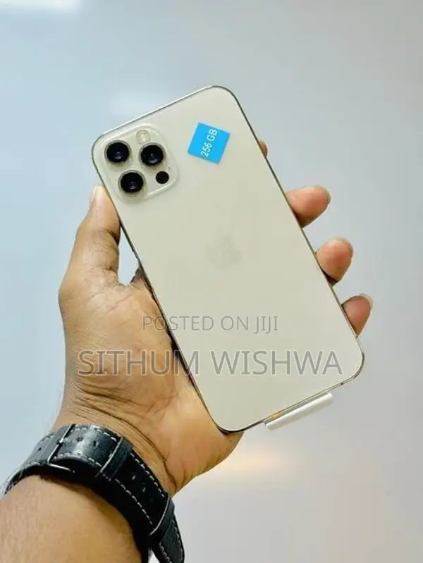 Apple iPhone 12 Pro 256GB (Used)