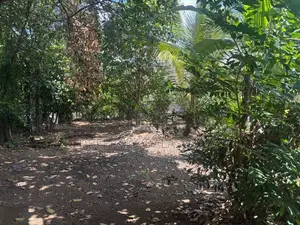 Land for Sale in Polgasowita