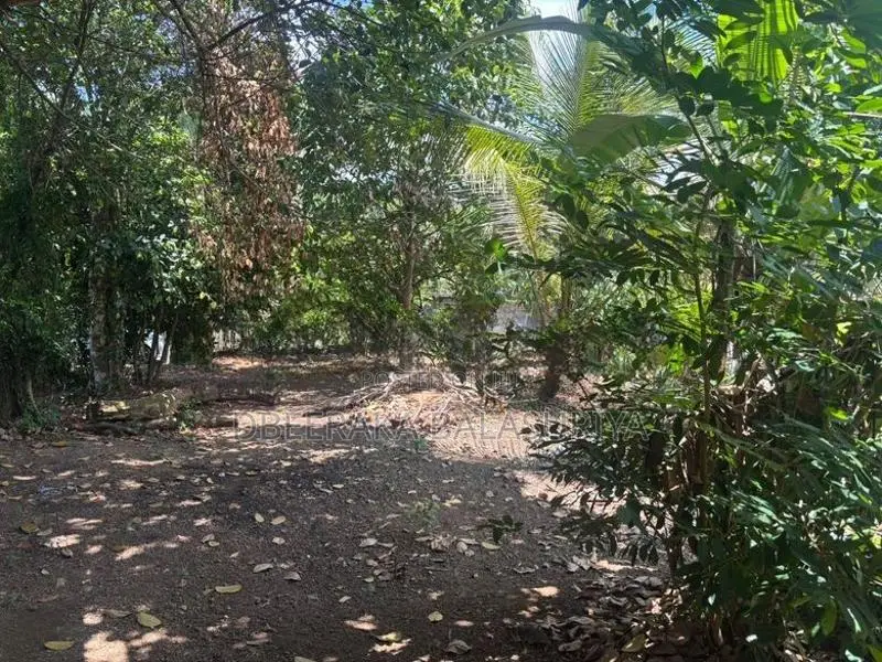 Land for Sale in Polgasowita