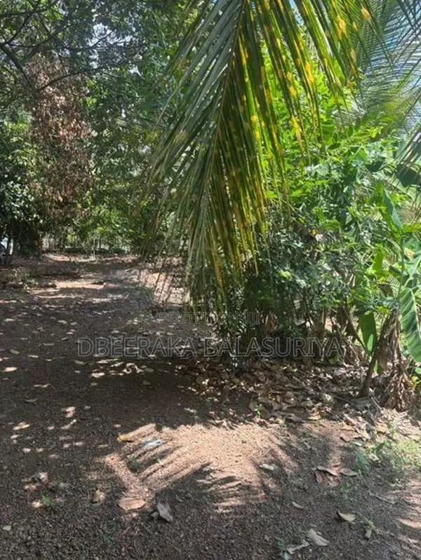 Land for Sale in Polgasowita