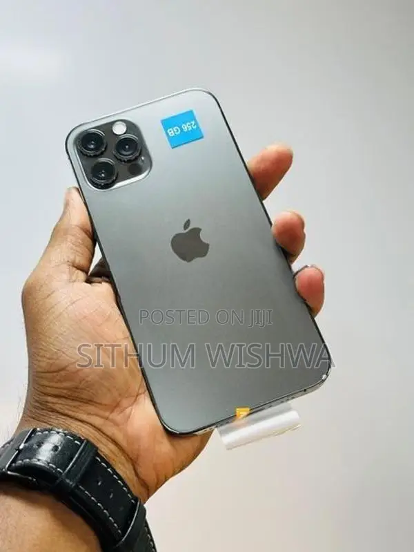 Apple iPhone 12 Pro 256GB (Used)
